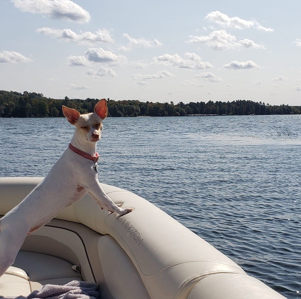 Meet your Posher, Dawn